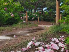 -国家植物园南园