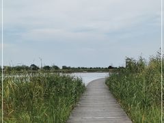 -盐城丹顶鹤湿地生态旅游区