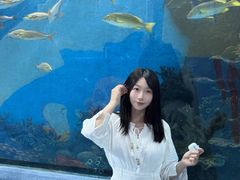 -合肥海洋世界