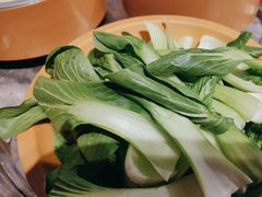 -龍歌自助小火锅(崂山丽达店)