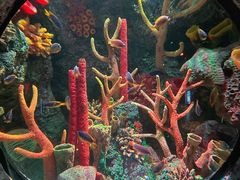 -沈阳海洋探索中心