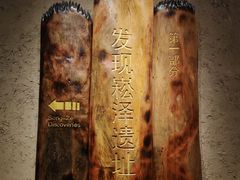-上海崧泽遗址博物馆