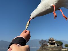 -小普陀