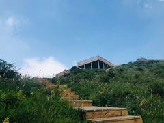 -白草畔自然风景区