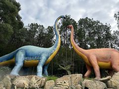 -森波拉奇妙世界