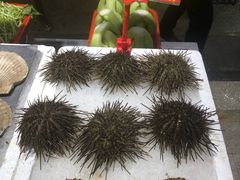 -蚝专家(北滘店)
