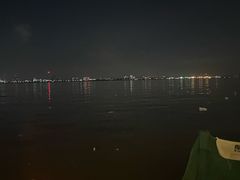 -海鸥岛