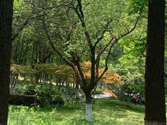 -新洲生态园