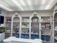 -特一安24小时宠物医院·骨科·中兽医