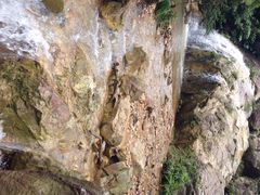 iphone_upload_pic-庆云洞