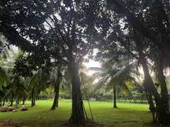 -白沙门生态公园