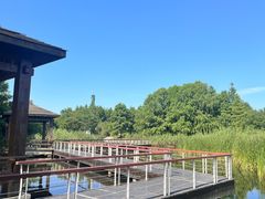 -同里国家湿地公园