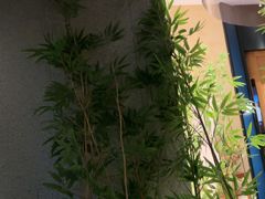 -新紫霞养生·影院足道·SPA(金山区店)
