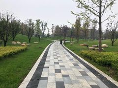 -秦文明广场