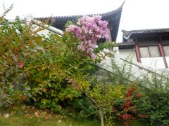 -威海华夏城景区