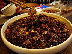 -铁公鸡·四川料理(天环广场店)