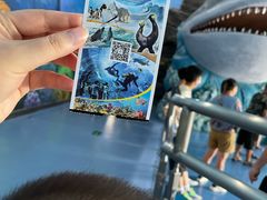 -多彩贵州城极地海洋世界