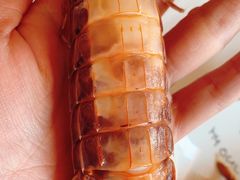 清蒸皮皮虾-雅逸居海鲜小厨