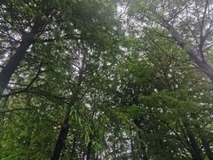 -尚贤河湿地