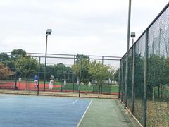 -九里河湿地公园