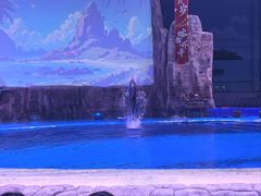 -华夏文旅海洋公园