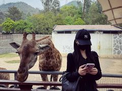 -泉州海丝野生动物世界
