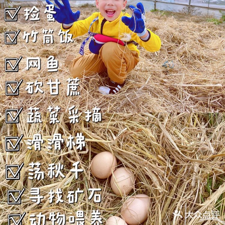 体验农家生活日常·龙余农场🐔🦆🥚🐟🥬