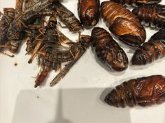 -初色海鲜自助(万丰路店)