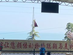 -东方熊牧场