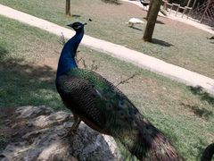 -梦幻奥陶纪景区