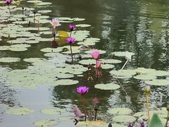 -上海植物园-4号门售票处