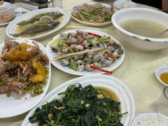 炒红薯叶-惠来大排档(联创商业街店)