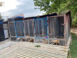 -萌宠亲子动物乐园(槐房万达店)