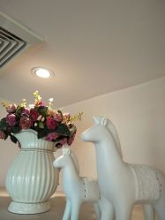 -茜尔维亚修身连锁
