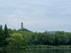 -北坞公园