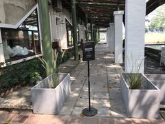 -喜洲吧·江畔老船厂·庭院餐厅(喜临院店)