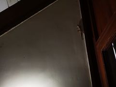 -三亚亚龙湾人间天堂鸟巢度假村