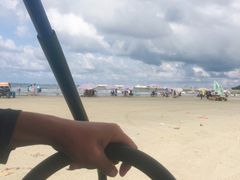 -红树林天天赶海