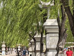 -天平湖公园