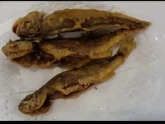 -鼎好家常菜(天桥店)