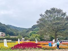 -广州市石门国家森林公园