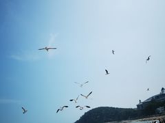 -棒棰岛宾馆景区