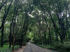 -高子水居