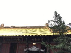 -普陀山慧济禅寺