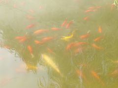 -济南方特东方神画