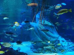 -沈阳海洋探索中心