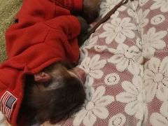 -盤古Spa泰式古法抓龙筋(鲁迅路店)