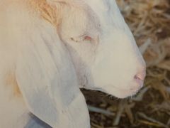 -chi K11艺术空间展览厅