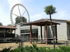 -石家庄市动物园