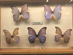 -青藏高原自然博物馆